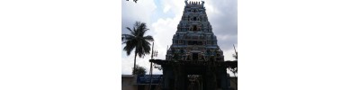 215. திருநெல்வாயில் அரத்துறை
